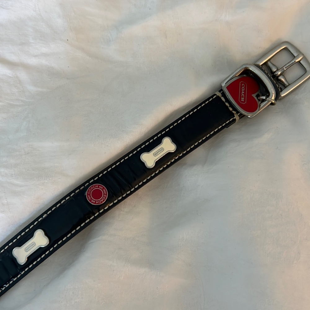 Coach Dog collar XS